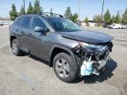 TOYOTA RAV4 XLE photo