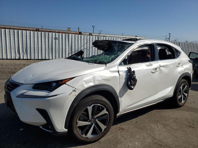 2021 LEXUS NX 300 BAS - JTJGARBZ0M5025434