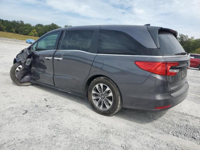 2023 HONDA ODYSSEY EX - 5FNRL6H64PB019091