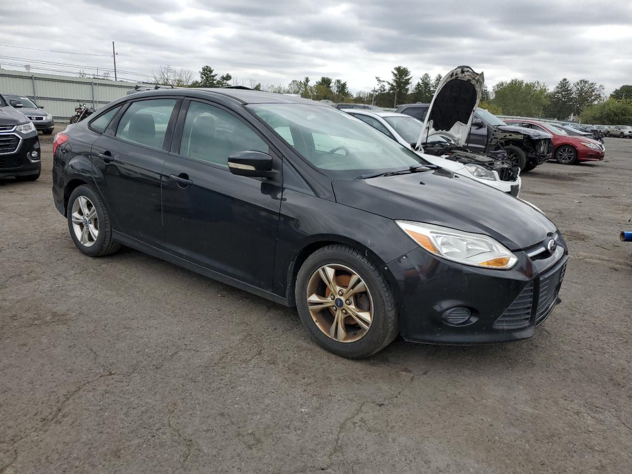 Lot #3023332236 2014 FORD FOCUS SE