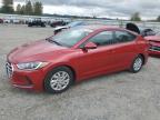 HYUNDAI ELANTRA SE photo