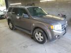 FORD ESCAPE XLT photo