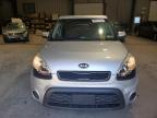 KIA SOUL + photo