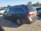 HONDA ODYSSEY EX photo