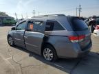 HONDA ODYSSEY EX photo