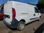 RAM PROMASTER photo