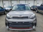 KIA SOUL ! photo