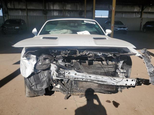2019 DODGE CHALLENGER - 2C3CDZAG4KH712001