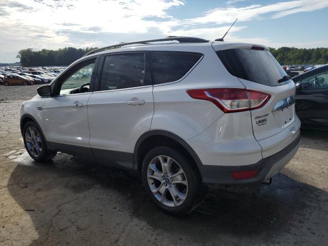 VIN 1FMCU0HX2DUB77615 2013 Ford Escape, Sel no.2