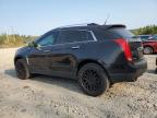 CADILLAC SRX PERFOR photo