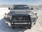 TOYOTA TUNDRA CRE photo