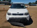 KIA SOUL + photo