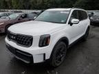 Lot #2960081330 2024 KIA TELLURIDE