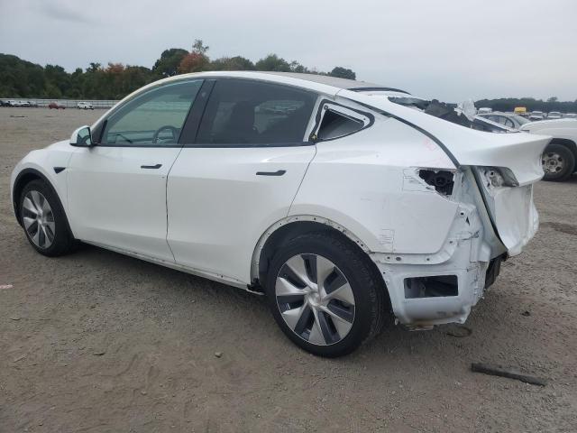 2021 TESLA MODEL Y - 5YJYGDEE2MF065739