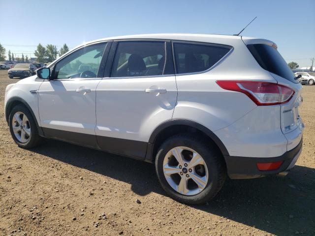 2014 FORD ESCAPE SE 1FMCU9GXXEUA08160  69868884