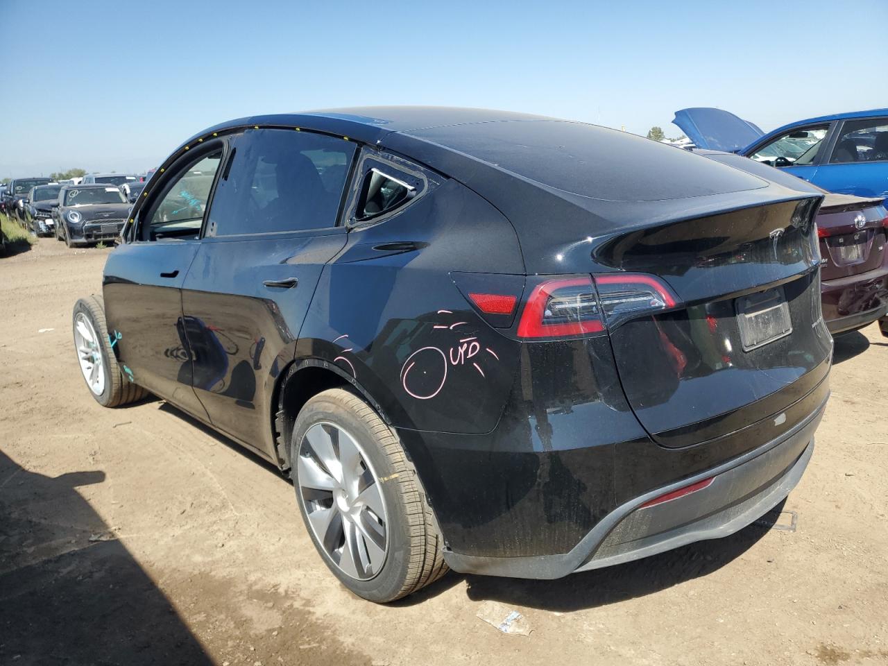 Lot #3004365726 2023 TESLA MODEL Y