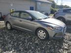 HYUNDAI ELANTRA SE photo