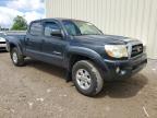 TOYOTA TACOMA DOU photo