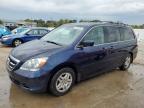 HONDA ODYSSEY EX photo