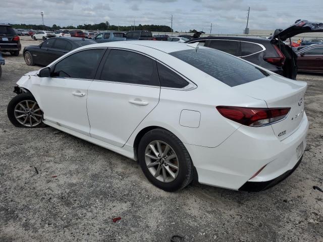 VIN 5NPE24AF6KH795362 2019 HYUNDAI SONATA no.2