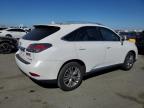 LEXUS RX 350 photo