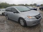 HONDA ODYSSEY EX photo