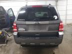 FORD ESCAPE XLT photo