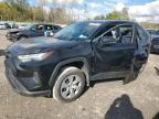 TOYOTA RAV4 LE photo