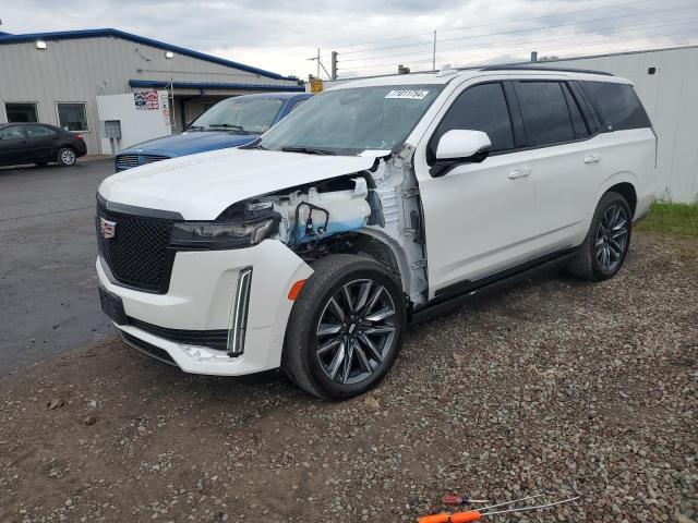 2022 CADILLAC ESCALADE S 1GYS4GKL9NR313610  71011754