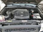 TOYOTA TACOMA DOU photo