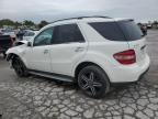 MERCEDES-BENZ ML 350 photo