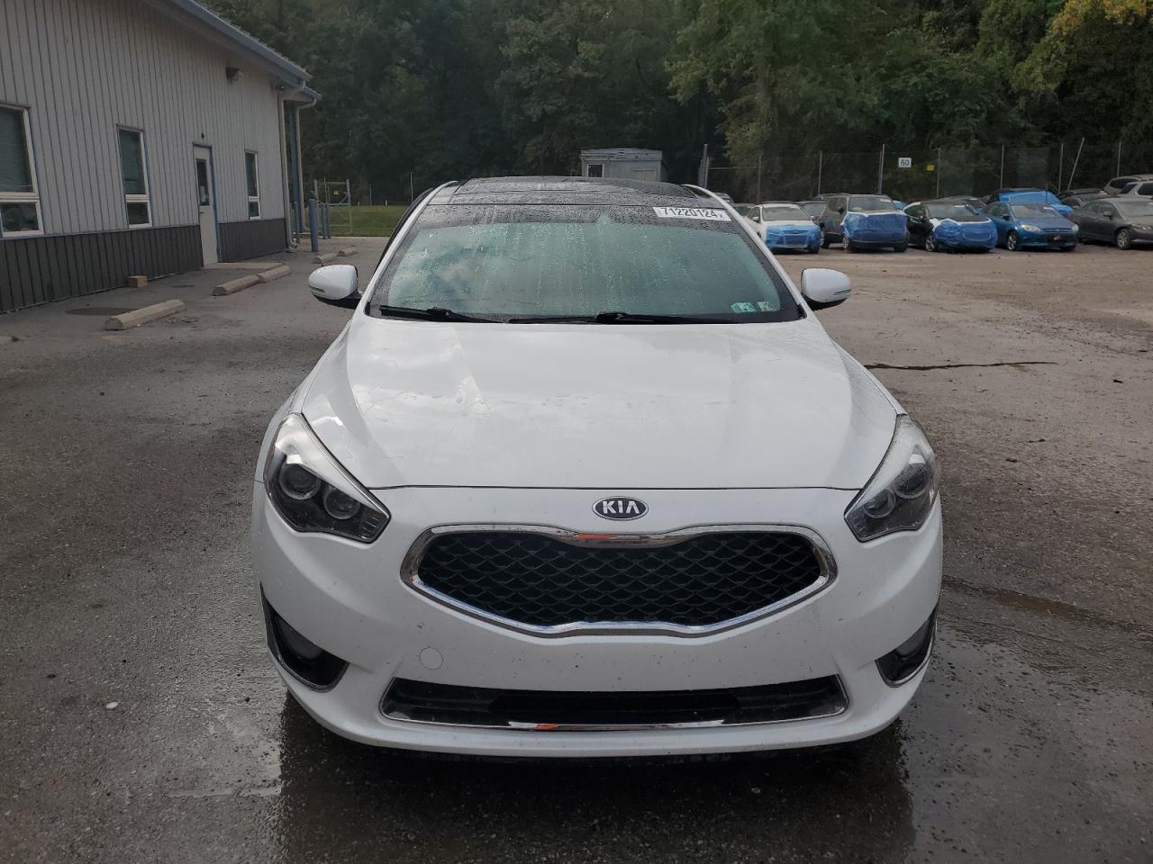 Lot #3033326808 2016 KIA CADENZA LU