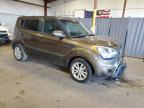 KIA SOUL + photo