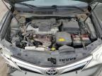 TOYOTA CAMRY L photo