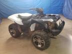 2023 KAWASAKI KVF750 G - JKAVFDG18PB523804