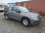 HONDA CR-V LX photo