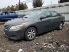 TOYOTA CAMRY BASE photo