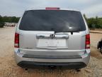 HONDA PILOT EXL photo