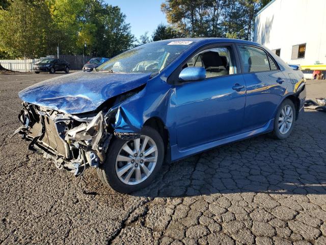 TOYOTA COROLLA BA 2010 blue  gas 2T1BU4EE5AC498339 photo #1