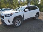 TOYOTA RAV4 LE photo