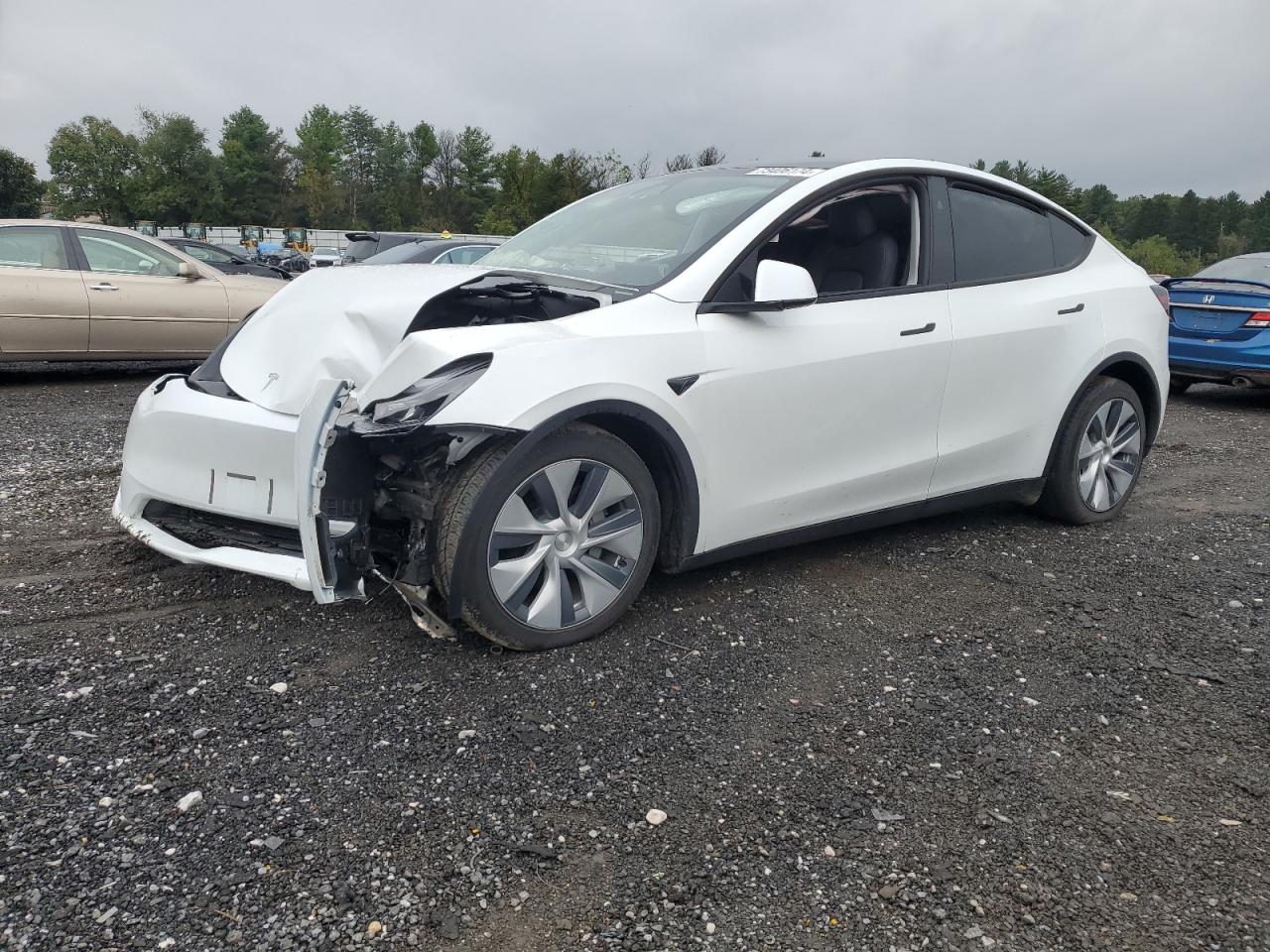 Lot #2969970050 2023 TESLA MODEL Y