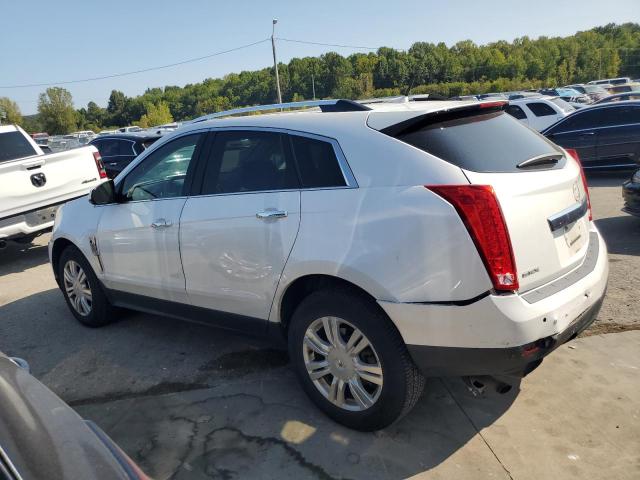 2011 CADILLAC SRX LUXURY 3GYFNAEY7BS532027  71022494