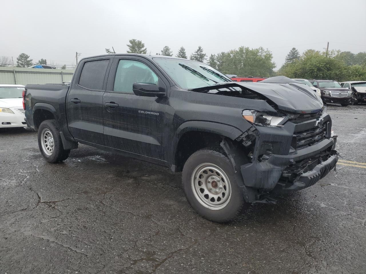 Lot #2986908776 2023 CHEVROLET COLORADO