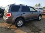 Lot #3037802267 2011 FORD ESCAPE XLT