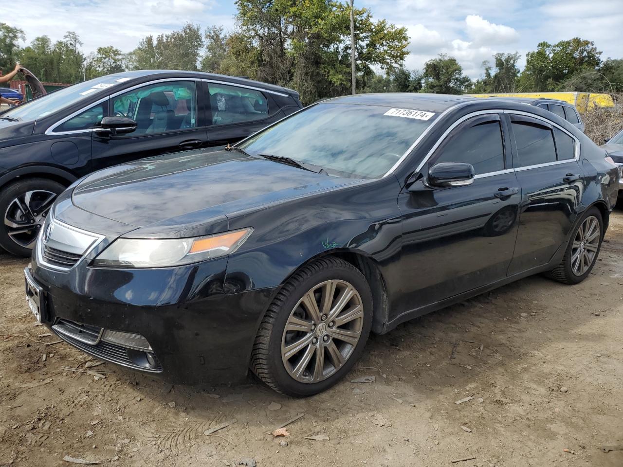 Lot #2923604451 2013 ACURA TL SE