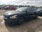 NISSAN MAXIMA S photo