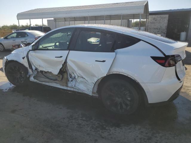 2022 TESLA MODEL Y - 7SAYGDEE5NF356871