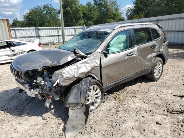 2019 JEEP CHEROKEE L - 1C4PJLCB0KD396209