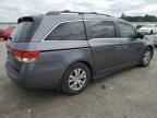 HONDA ODYSSEY EX снимка