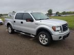 FORD F150 SUPER photo